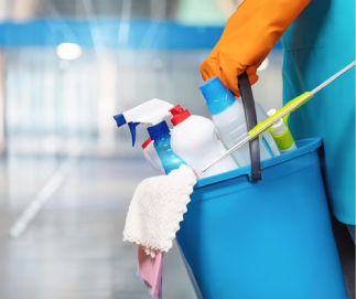 LG Cleaning Service WA cleaning, service