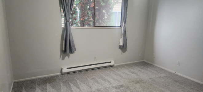 LG Cleaning Service WA cleaning, service